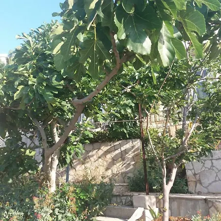 Sea View House Prizba